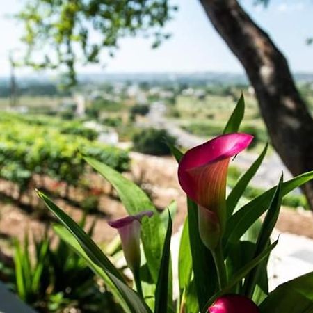 Belvedere โลโกโรตอนโด ภายนอก รูปภาพ